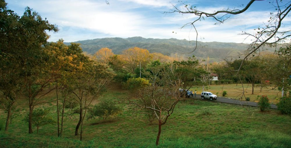 tierra-verde-atenas