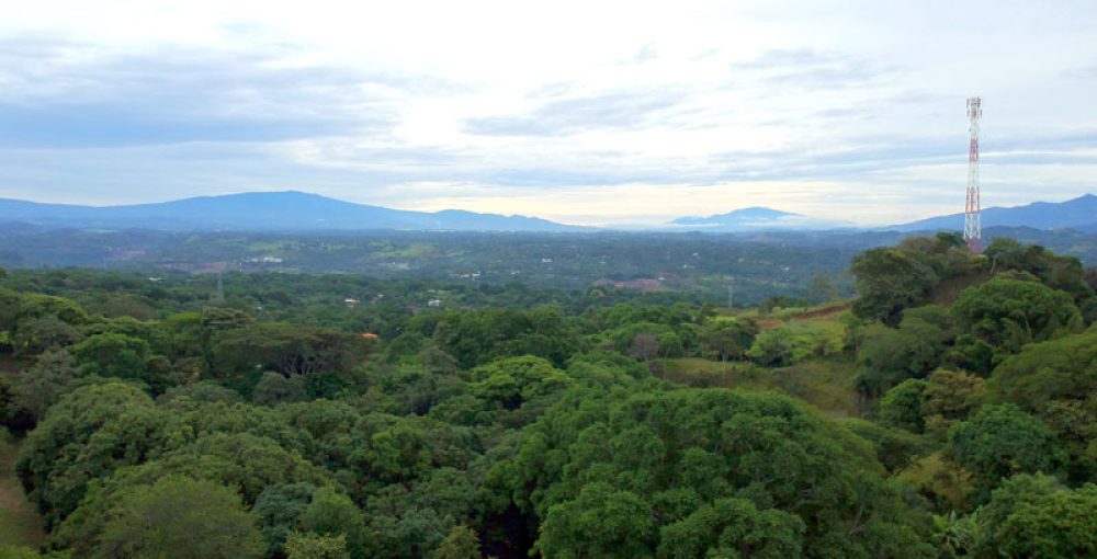 tierra-verde-atenas