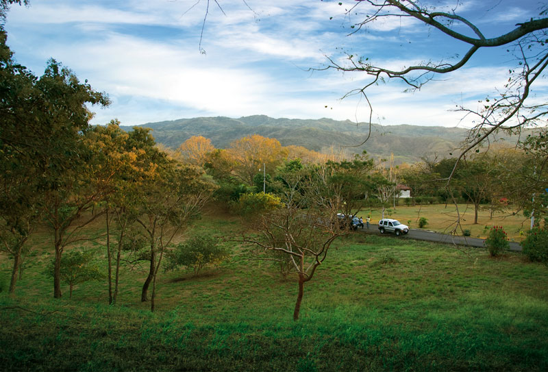 tierra-verde-atenas