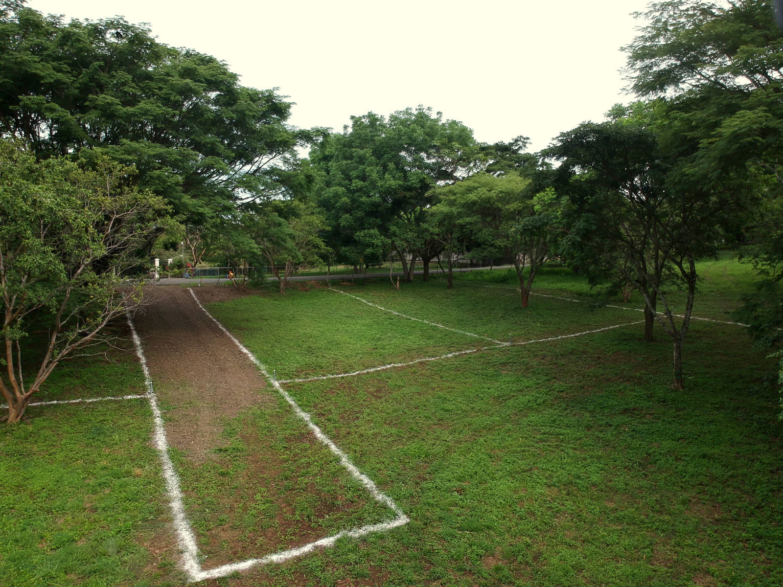 tierra-verde-atenas